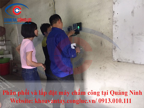 Với kinh nghiệm đã thi công nhiều công trình và dự án lớn nhỏ tại thành phố Hạ Long tỉnh Quảng Ninh, công ty Cộng Lực lần này tiếp tục hợp tác và mang đến cho công ty bê tông Thăng Long một hệ thống máy chấm công  chất lượng tốt, nhiều tính năng và lợi ích cho người sử dụng.