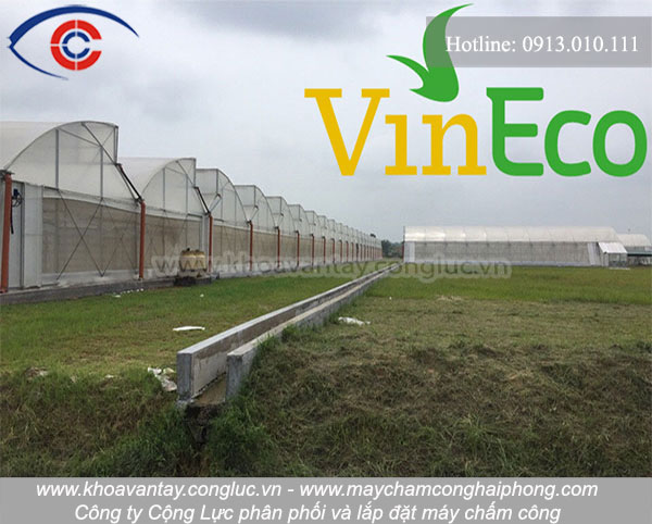 Dự án tiêu biểu lắp đặt máy chấm công đa điểm của Cộng Lực tại 5 nông trường rau sạch của công ty Vineco: Hải Phòng, Quảng Ninh, Hà Nam, Nam Định, Vĩnh Phúc.