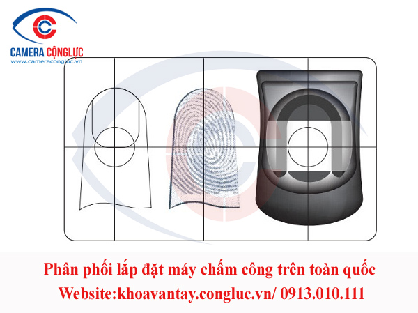 Các quy định khi chấm công bằng vân tay